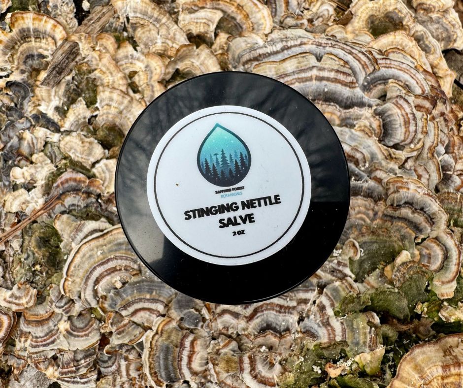 Stinging Nettle Salve