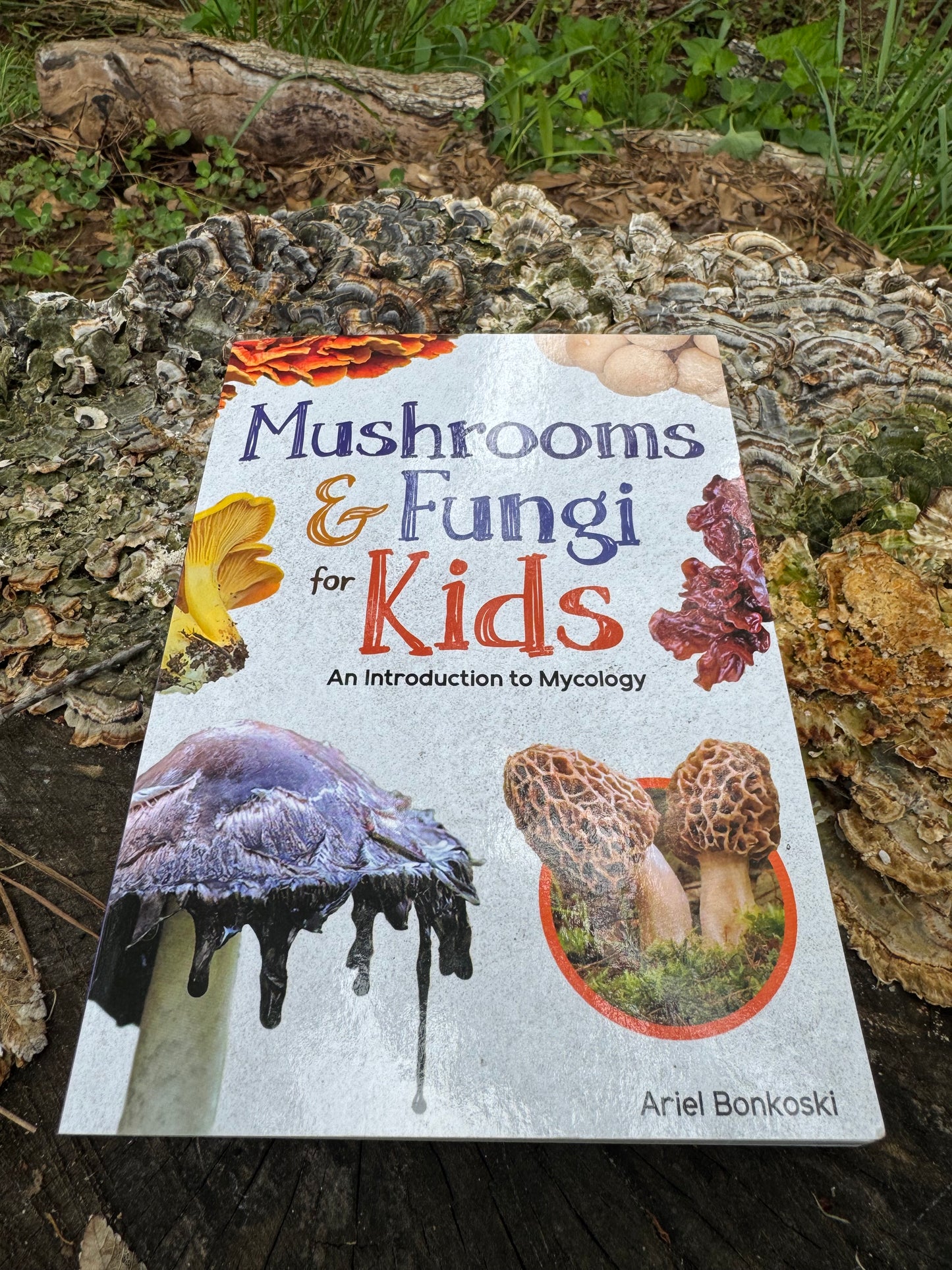Mushrooms and Fungi for Kids