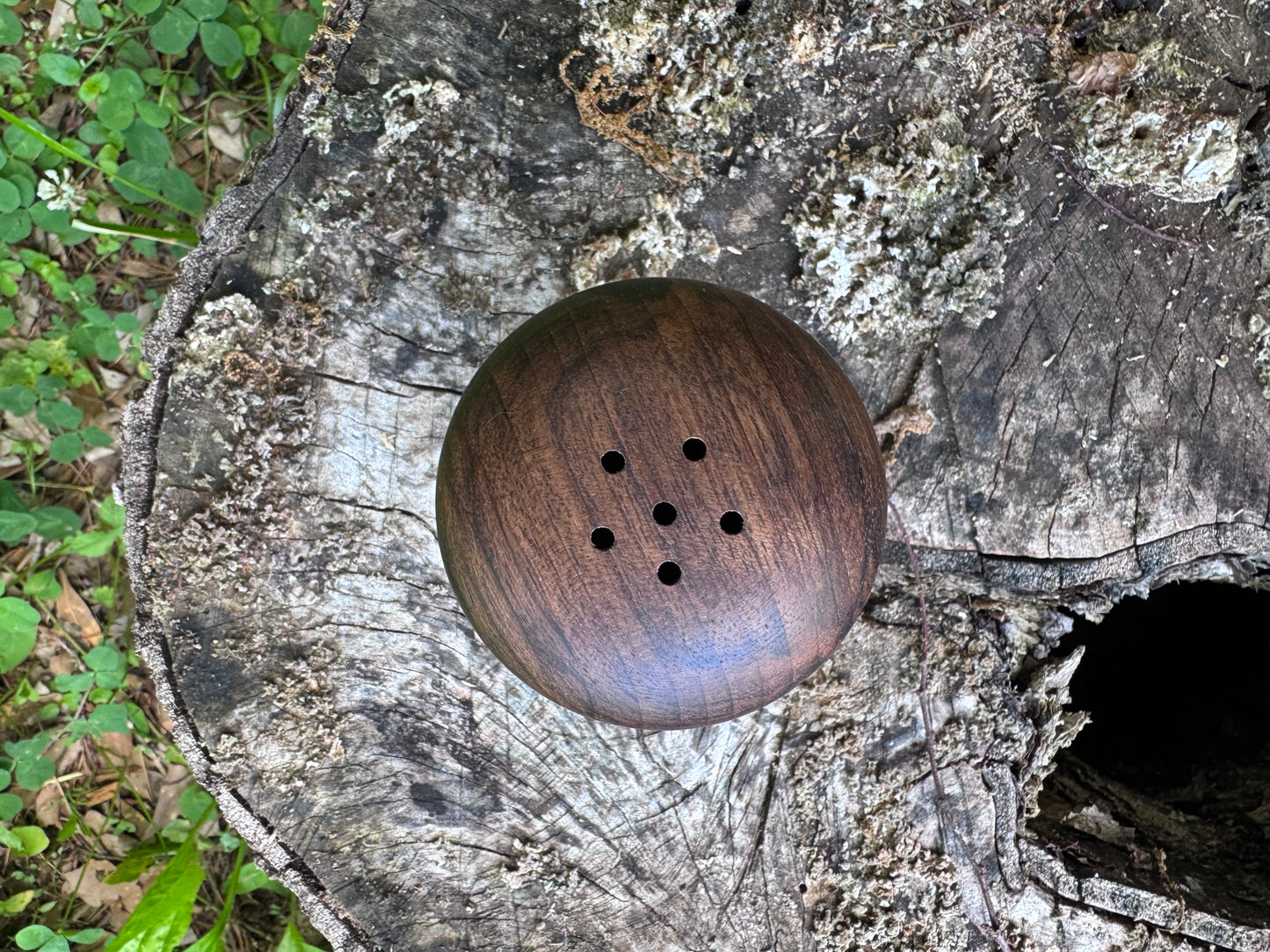 Wooden Mushroom Shaker or Toothpick Holder