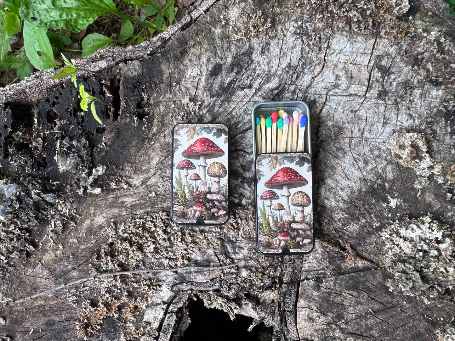 Mushroom Match Tin