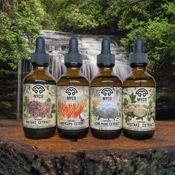 Fungi Force - Energy Gift Set