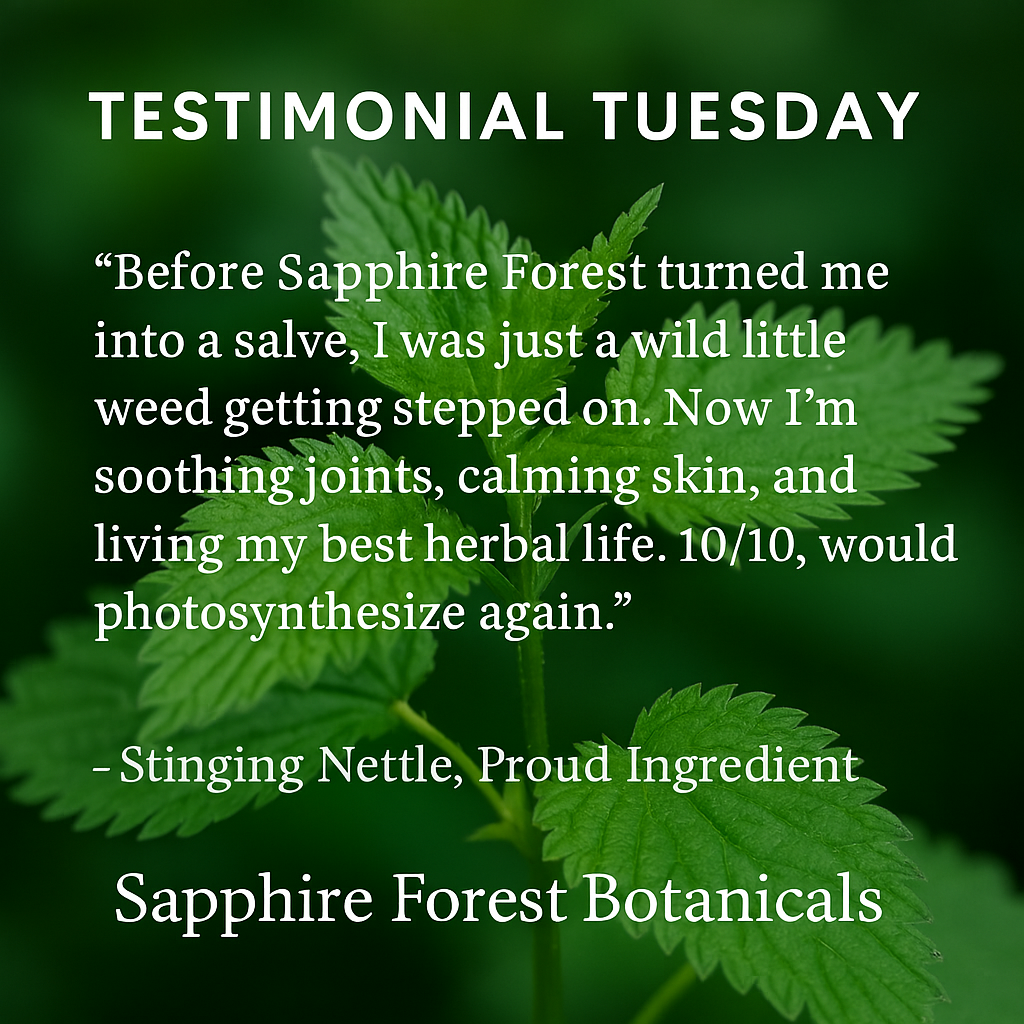 Stinging Nettle Salve