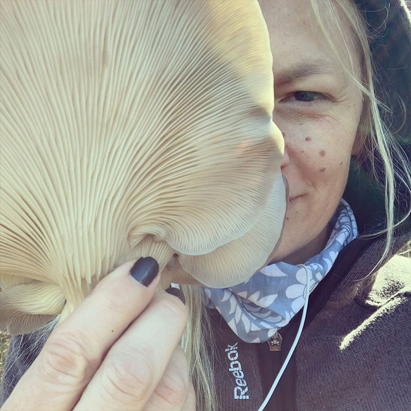 Warm Blue Oyster MycoGarden Fruiting Kit - (Pleurotus ostreatus)