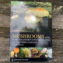 Load image into Gallery viewer, Mushrooms of the Northeastern United States and Eastern Canada