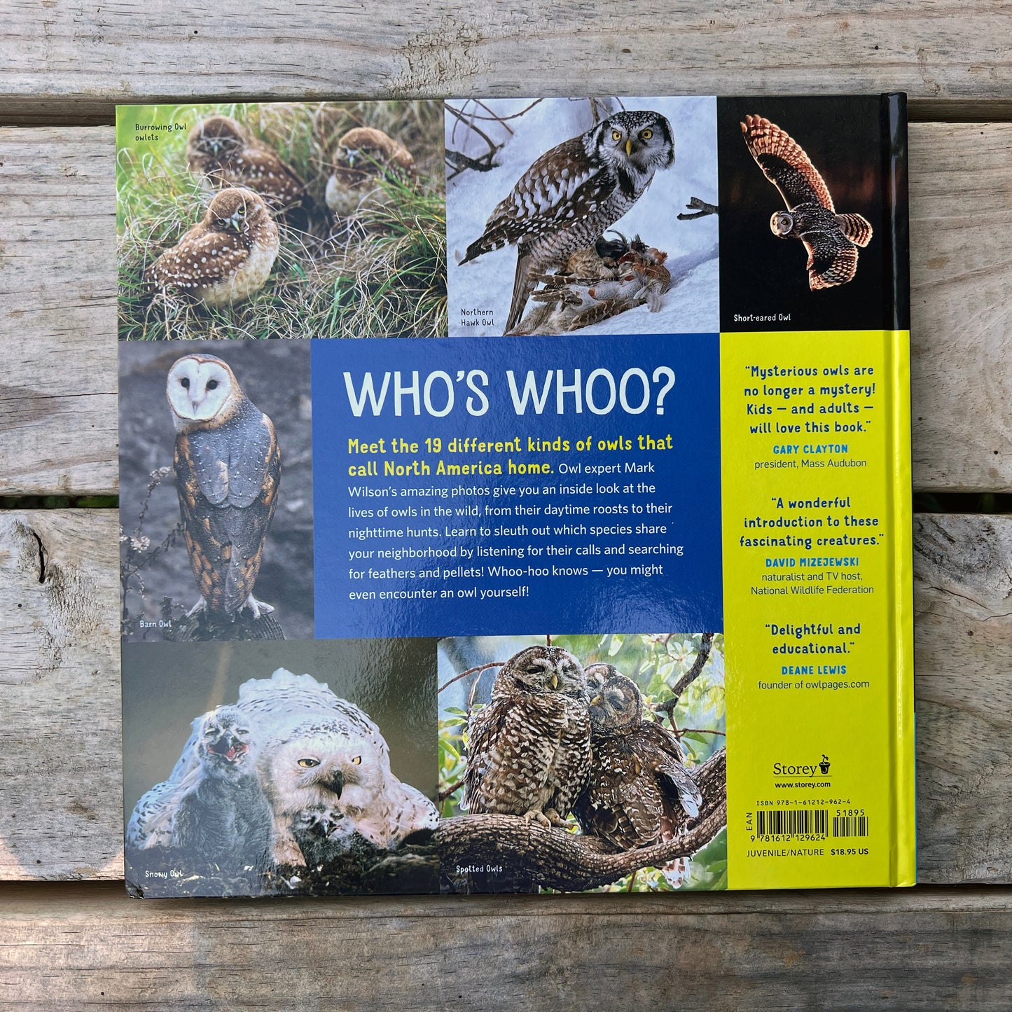 Owling: Mysterious Birds of the Night