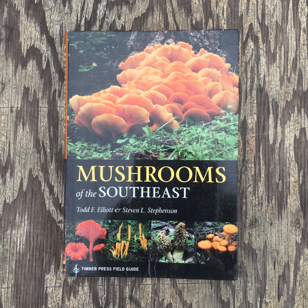 Mushrooms of the Southeast