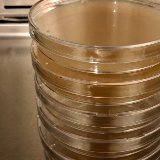 Malt Extract Agar Plates - 20 count