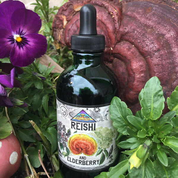 Elderberry & Reishi Tincture | Seasonal Immune Support MycoMatrix Mushroom Mountain Elderberry & Reishi Tincture | Seasonal Immune Support MycoMatrix Mushroom Mountain