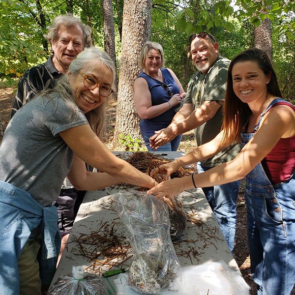 Workshops and Certifications