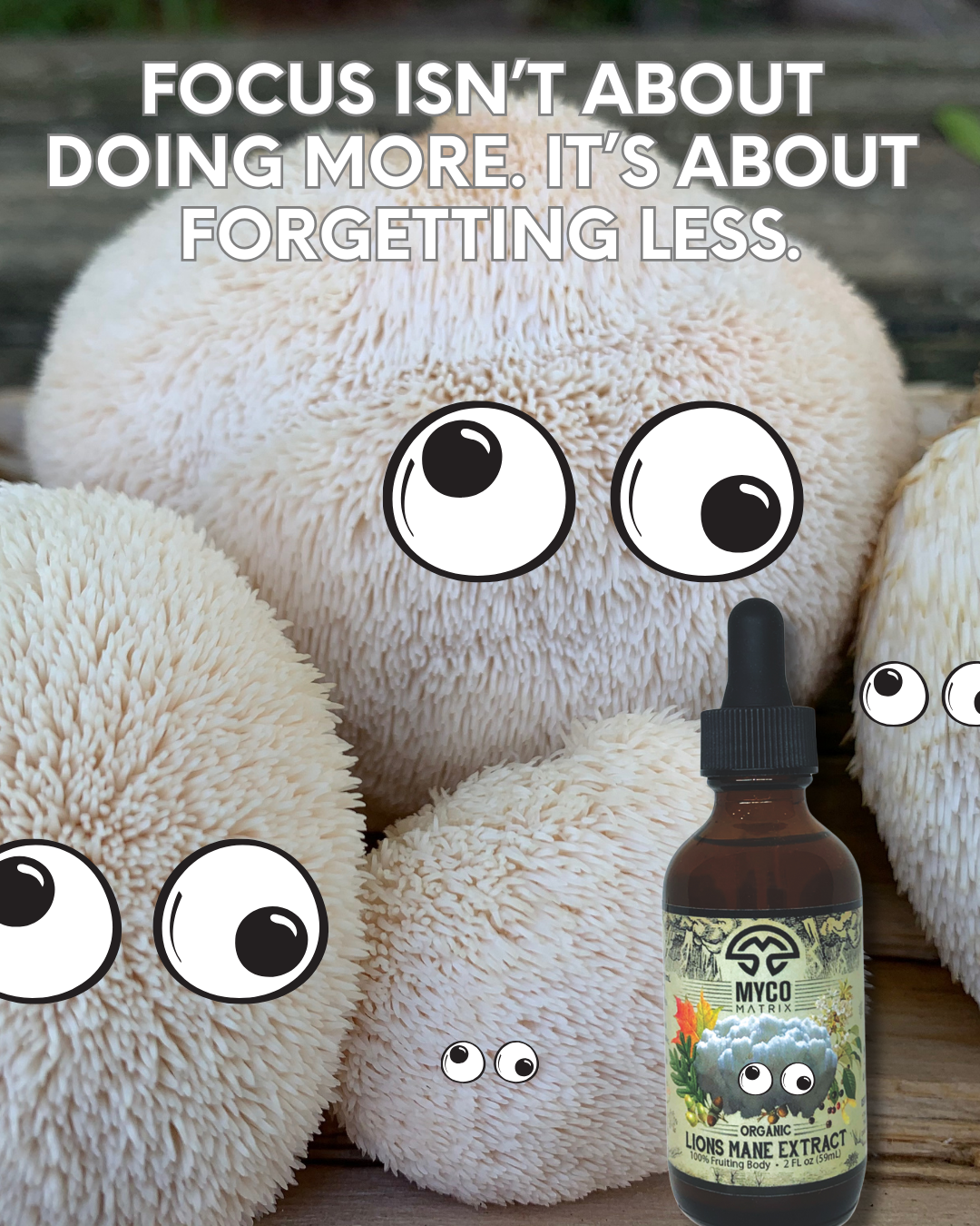 Mycomatrix Lions Mane Adaptogenic Mushroom Extract