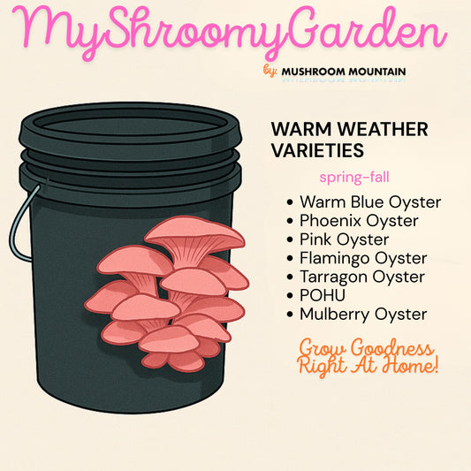 MyShroomyGarden