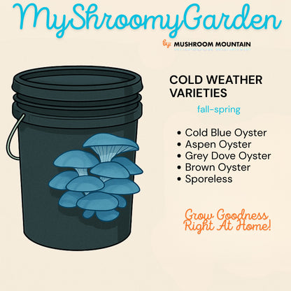 MyShroomyGarden