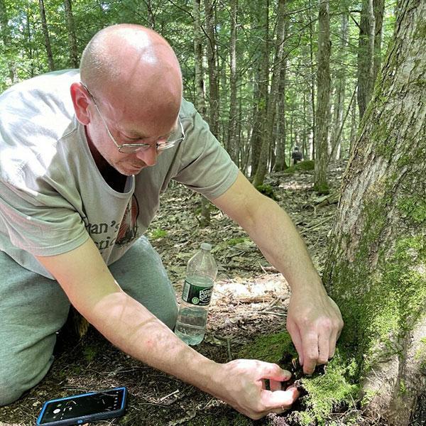 Taste Of The Forest with Shaun Thompson