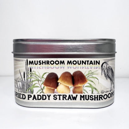 DRIED PADDY STRAW MUSHROOMS