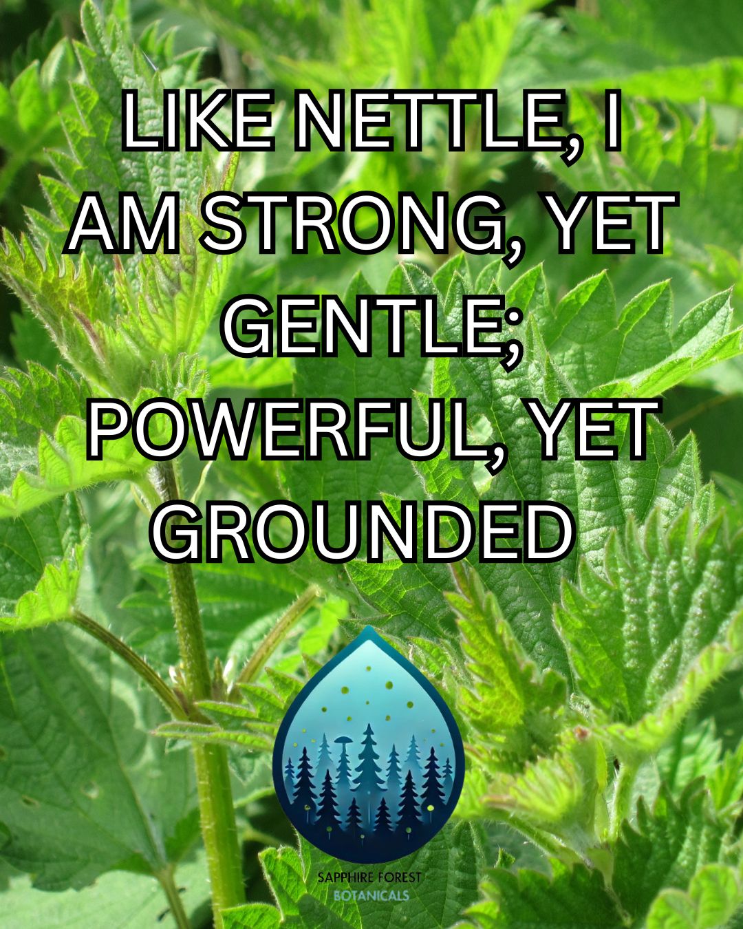 Stinging Nettle Salve