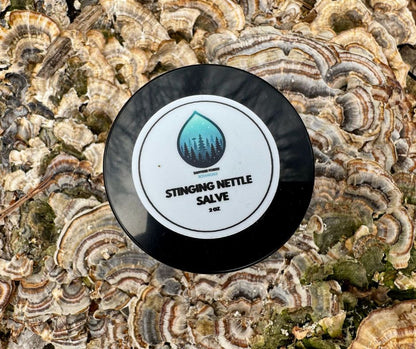 Stinging Nettle Salve