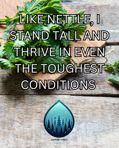 Stinging Nettle Salve
