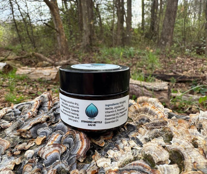 Stinging Nettle Salve