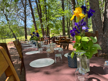 Taste of The Forest: The Morel Experience - 4/17/26