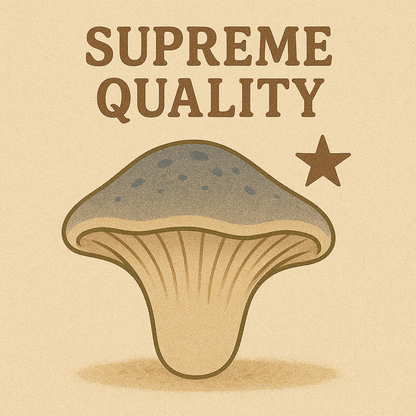 Oyster Mushroom Fruiting Kit - (Pleurotus spp.)