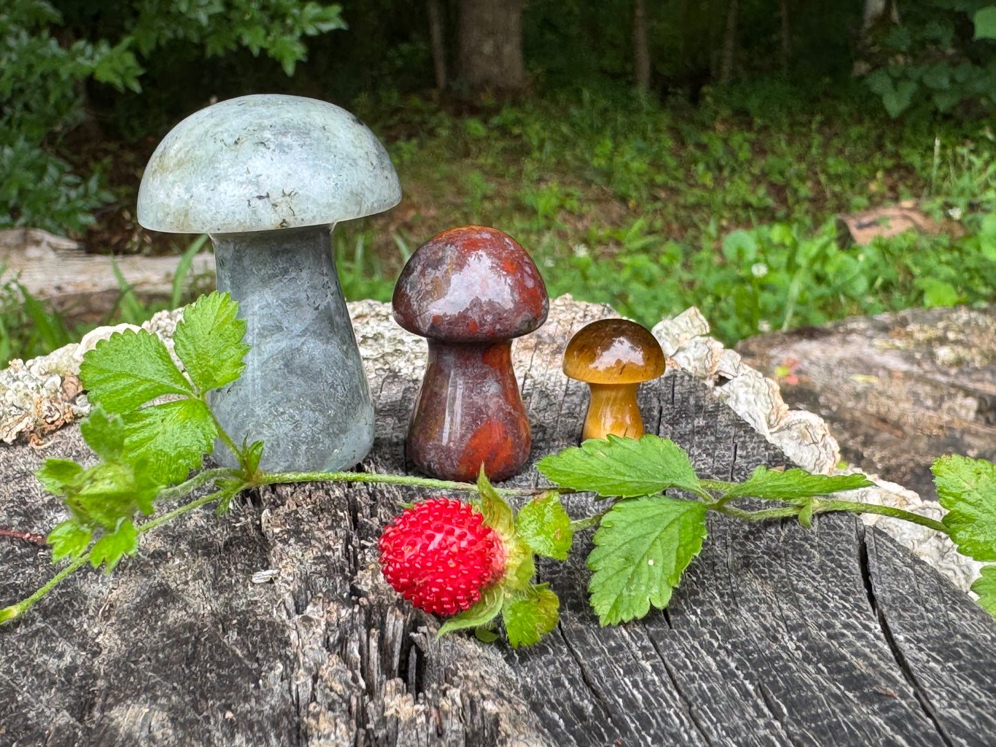 Crystal Mushroom