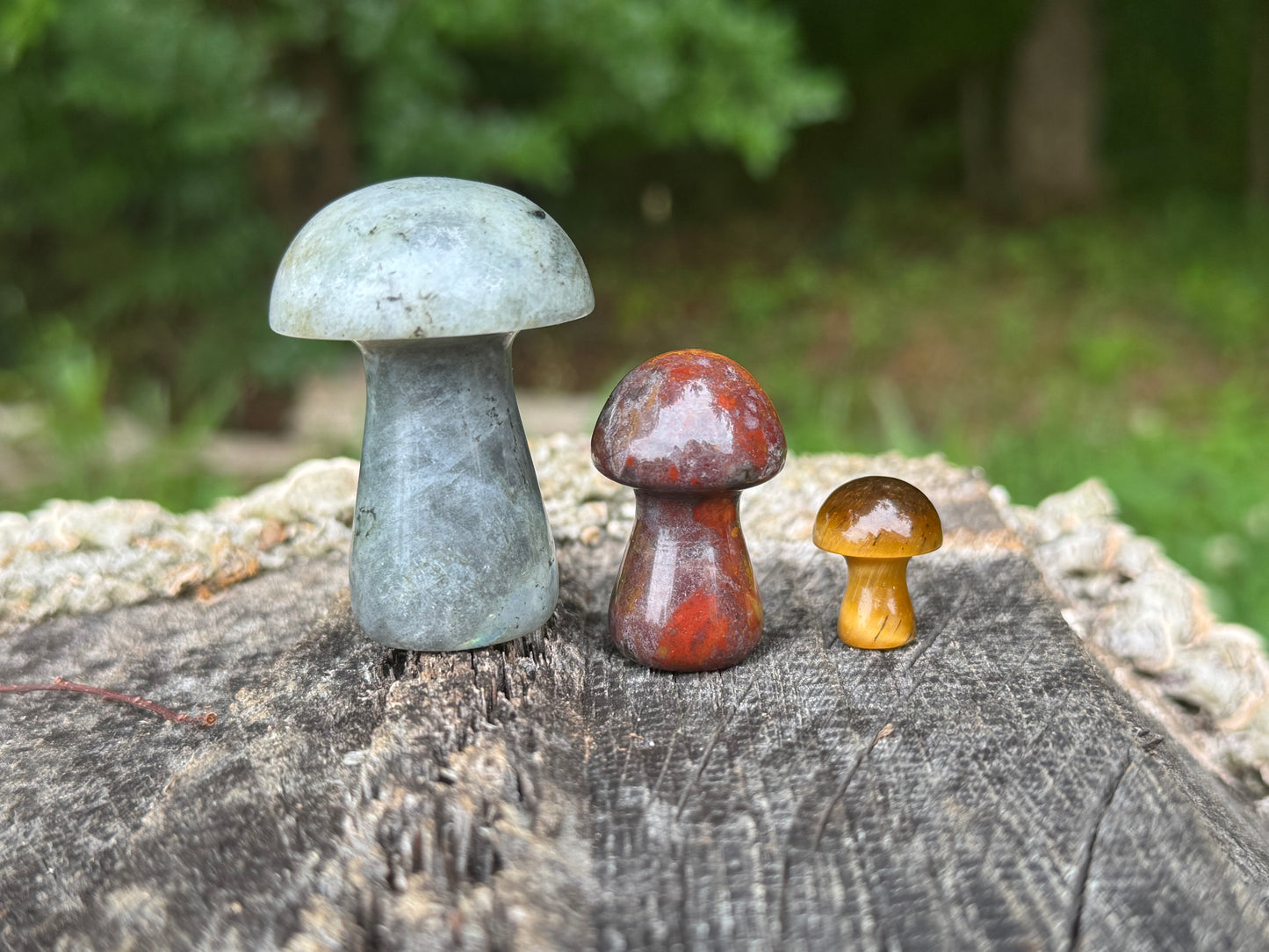 Crystal Mushroom