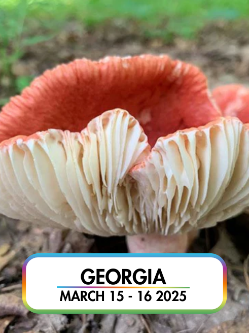 Wild Mushroom Food Safety Certification - GEORGIA - MAR 15-16, 2025