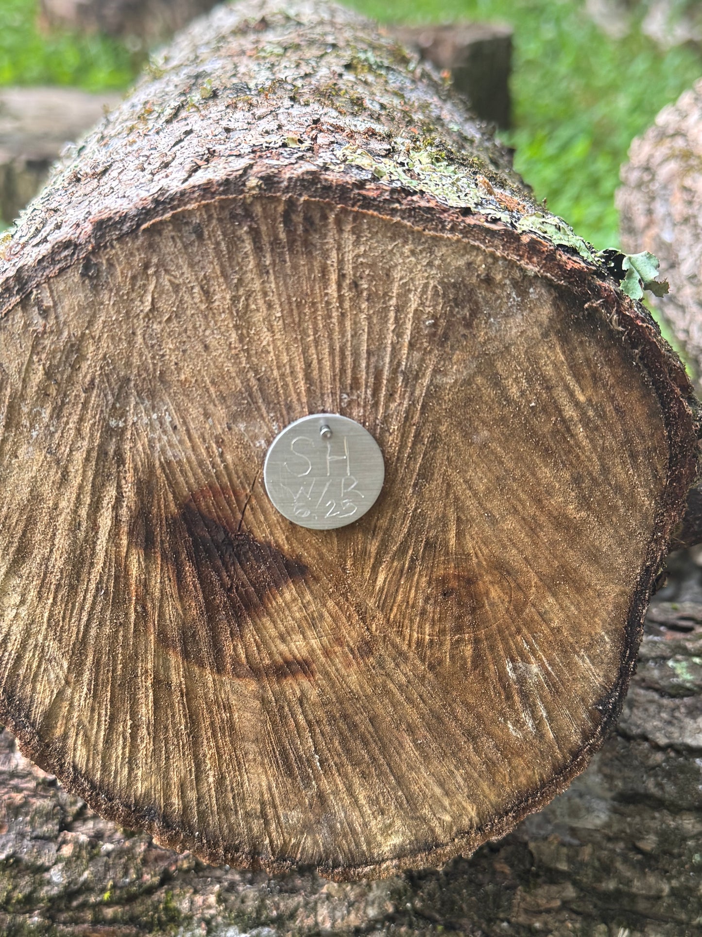 Durable Mushroom Log Tags
