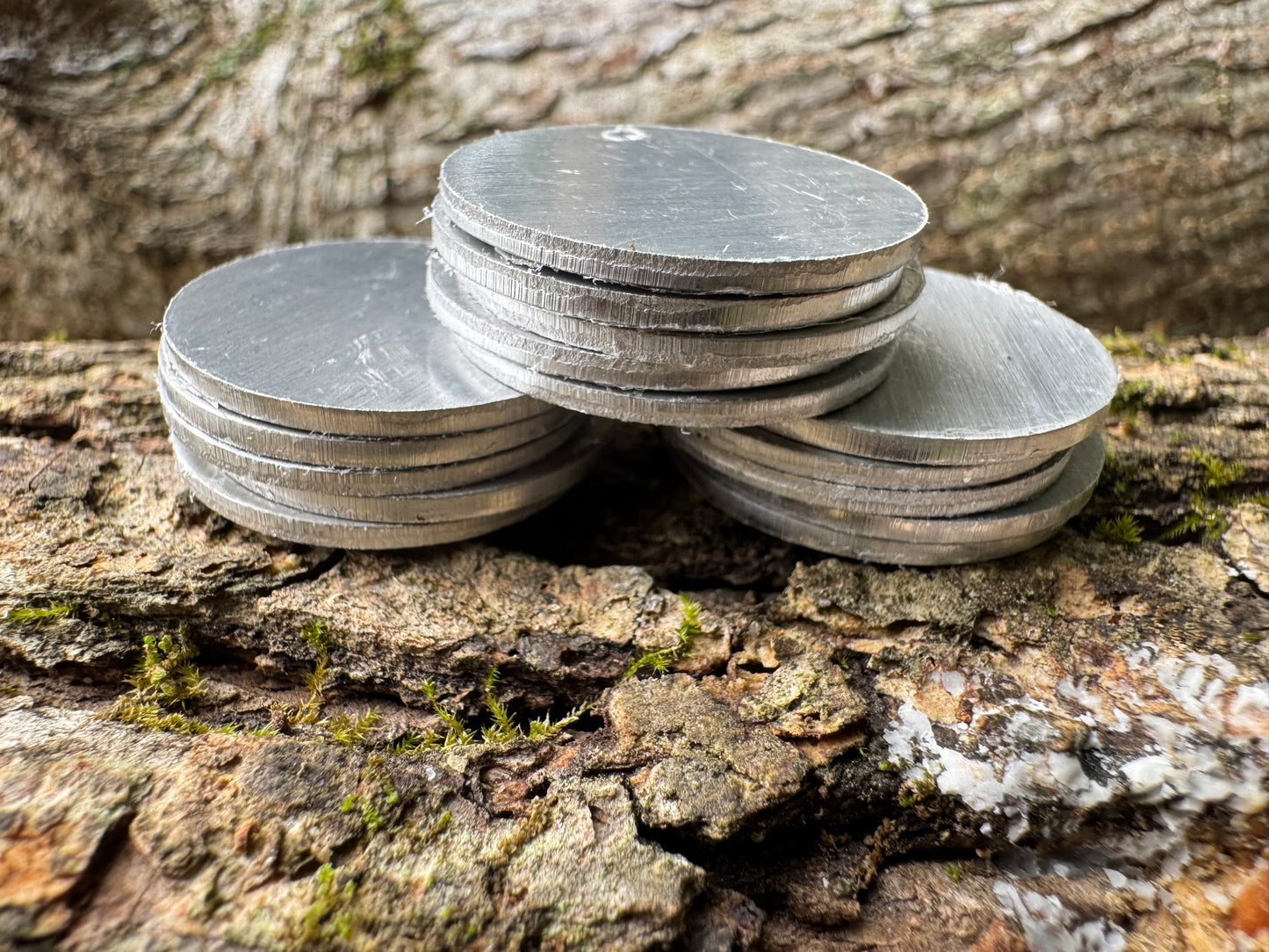 Durable Mushroom Log Tags