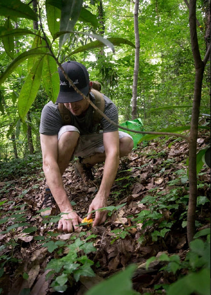 Taste Of The Forest with Chef Chase Todaro