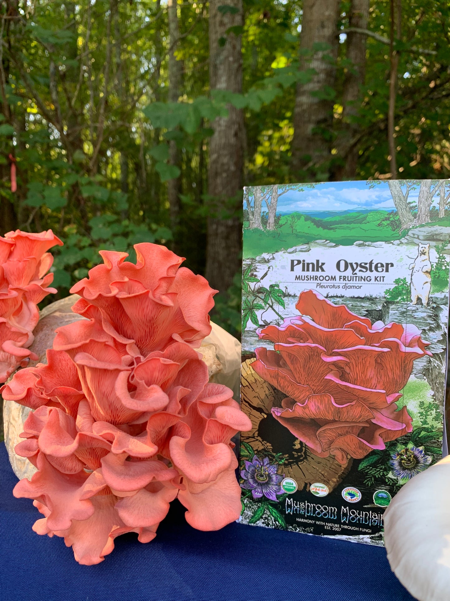 Gourmet Mushroom Collection