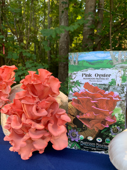 Gourmet Mushroom Collection