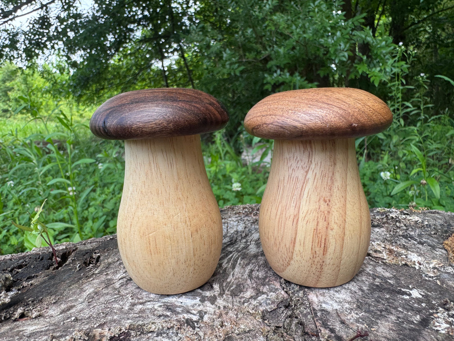 Wooden Mushroom Shaker or Toothpick Holder