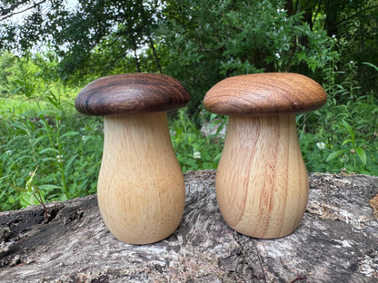 Wooden Mushroom Shaker or Toothpick Holder