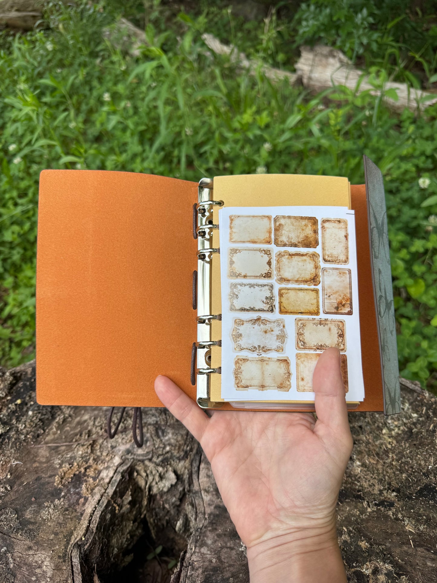 Woodland Mushroom Journal
