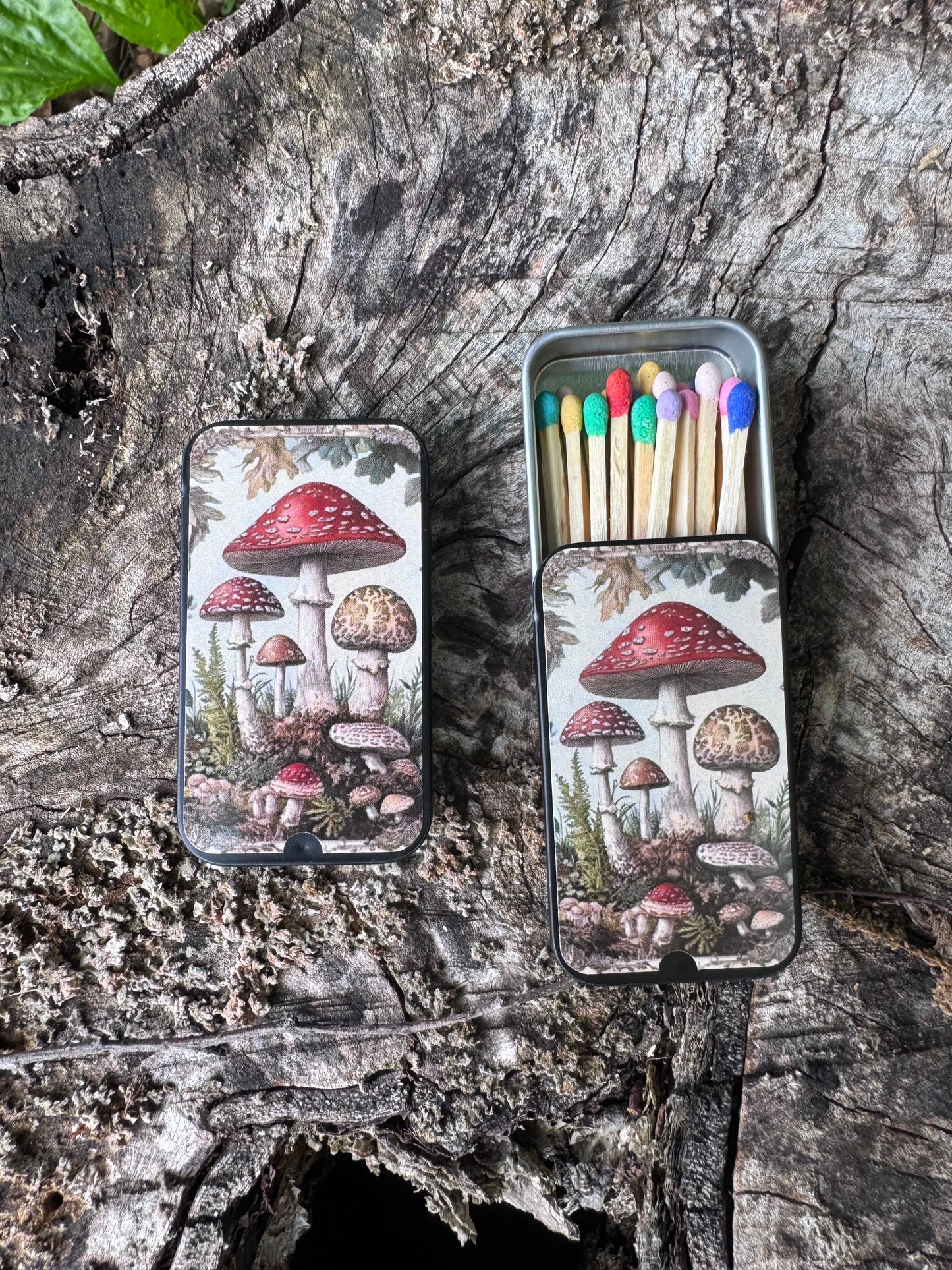 Mushroom Match Tin