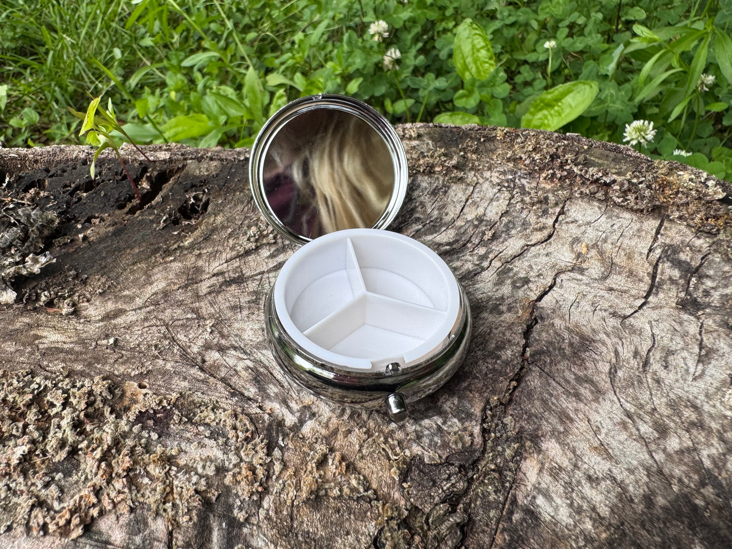 Mushroom Pocket Pill Box
