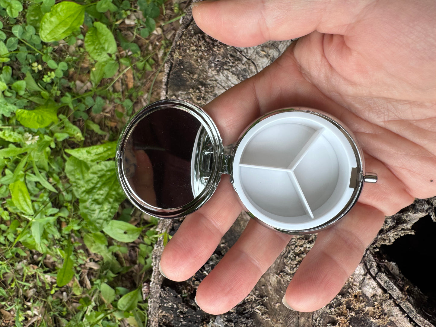 Mushroom Pocket Pill Box