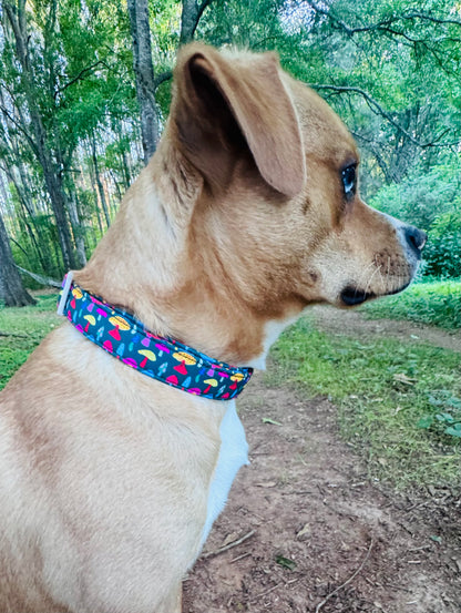 Colorful Mushroom Pet Collar