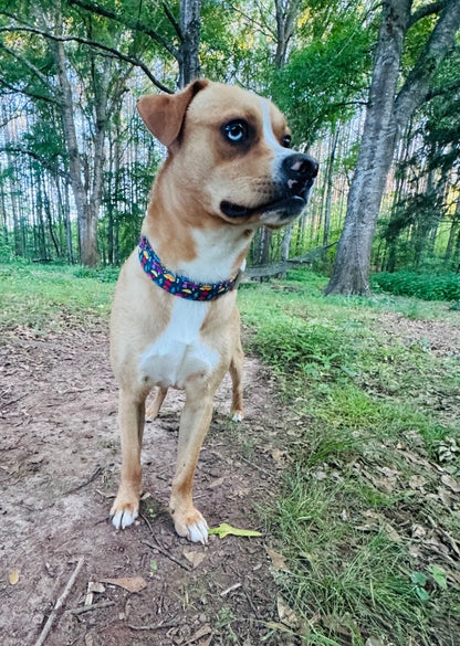 Colorful Mushroom Pet Collar