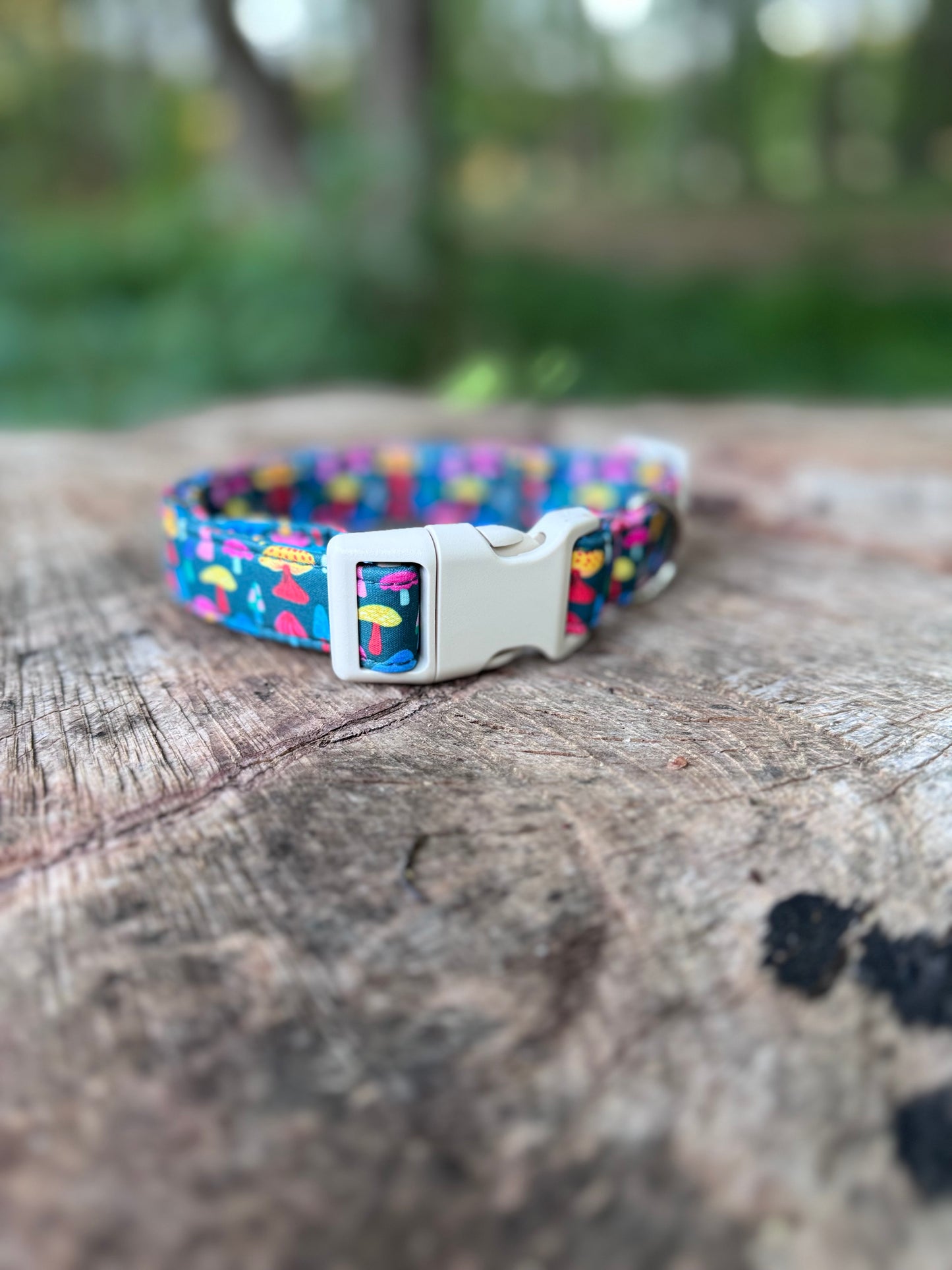 Colorful Mushroom Pet Collar