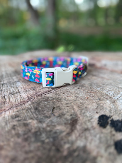 Colorful Mushroom Pet Collar
