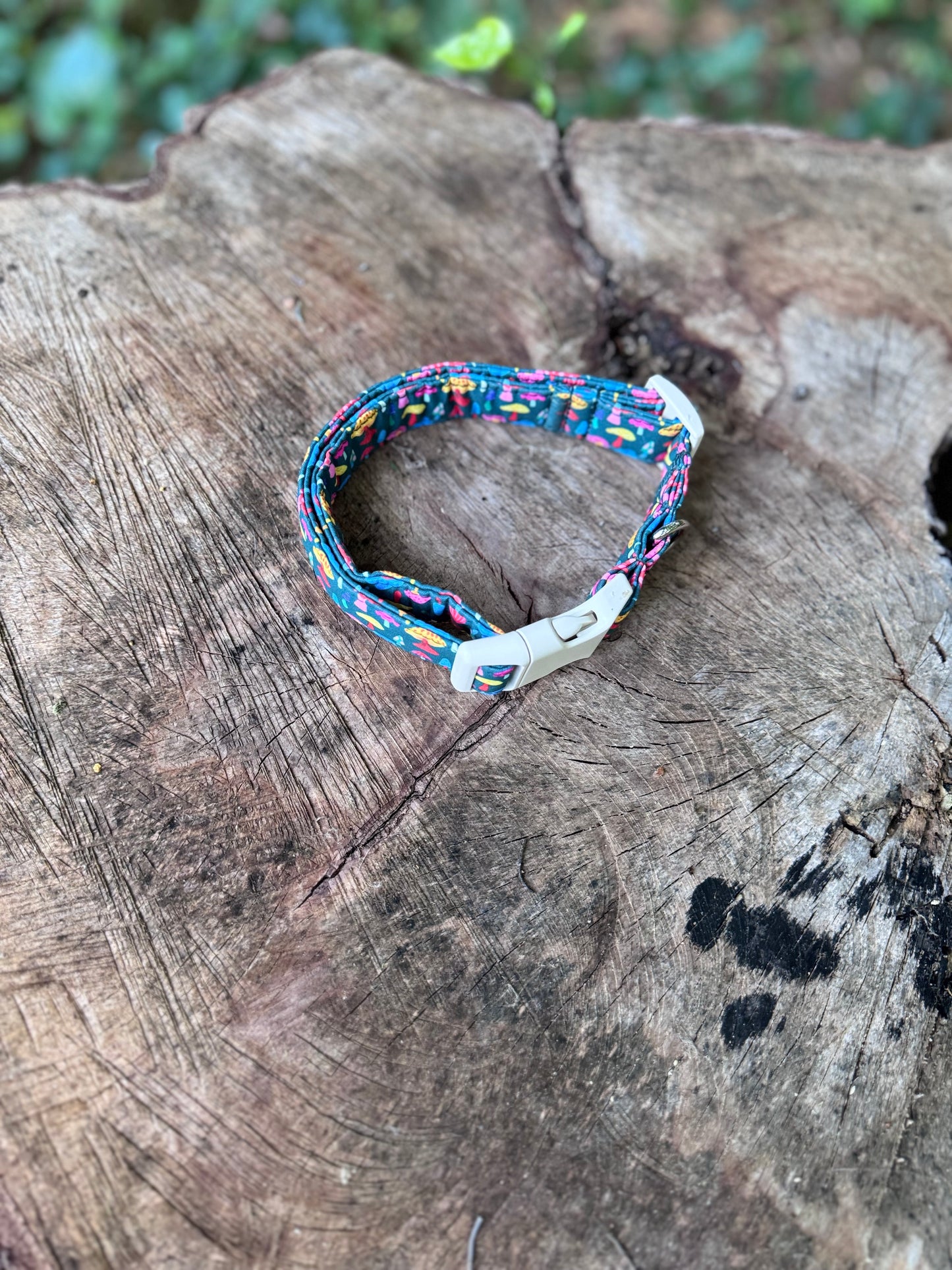 Colorful Mushroom Pet Collar