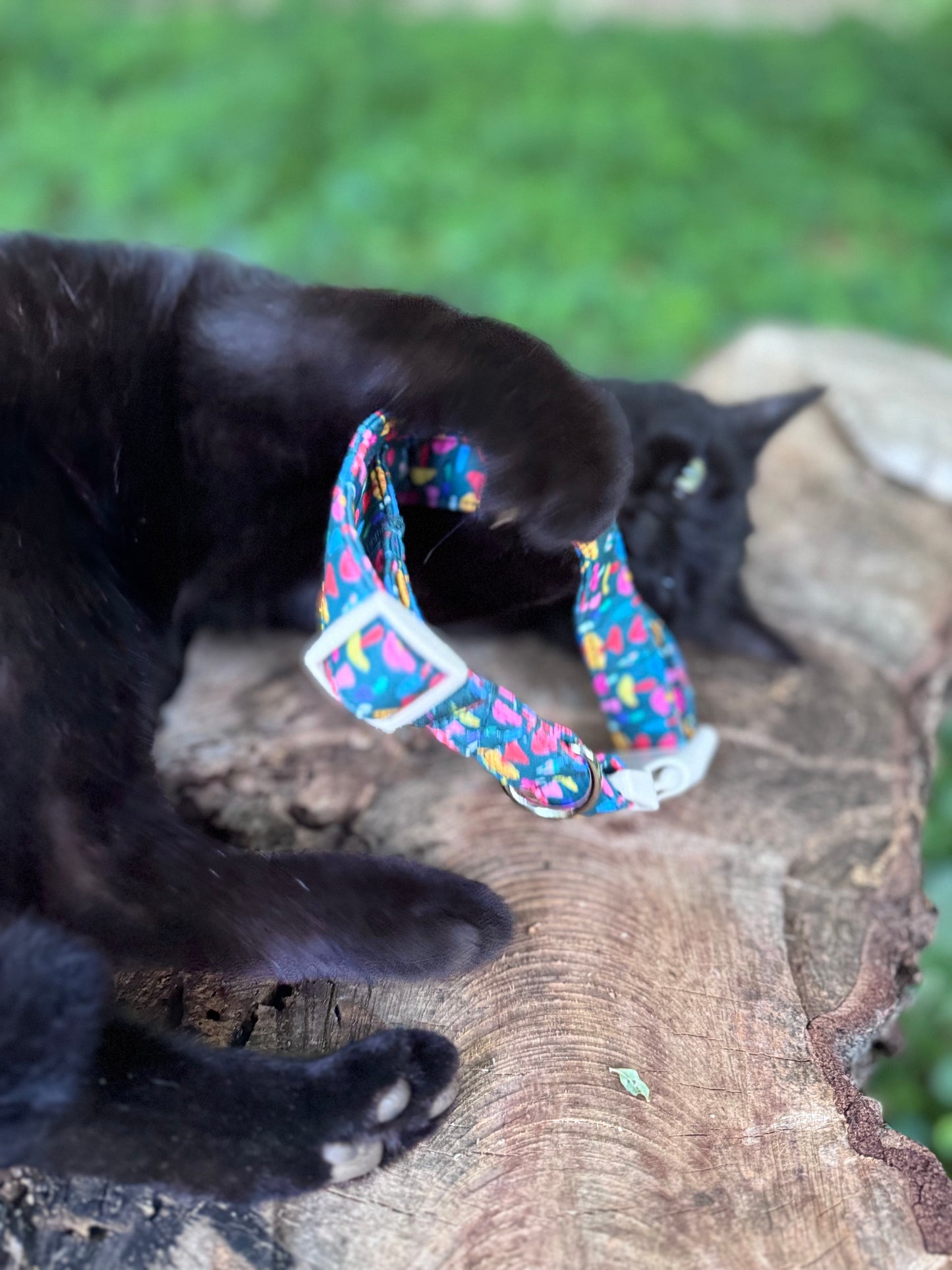 Colorful Mushroom Pet Collar