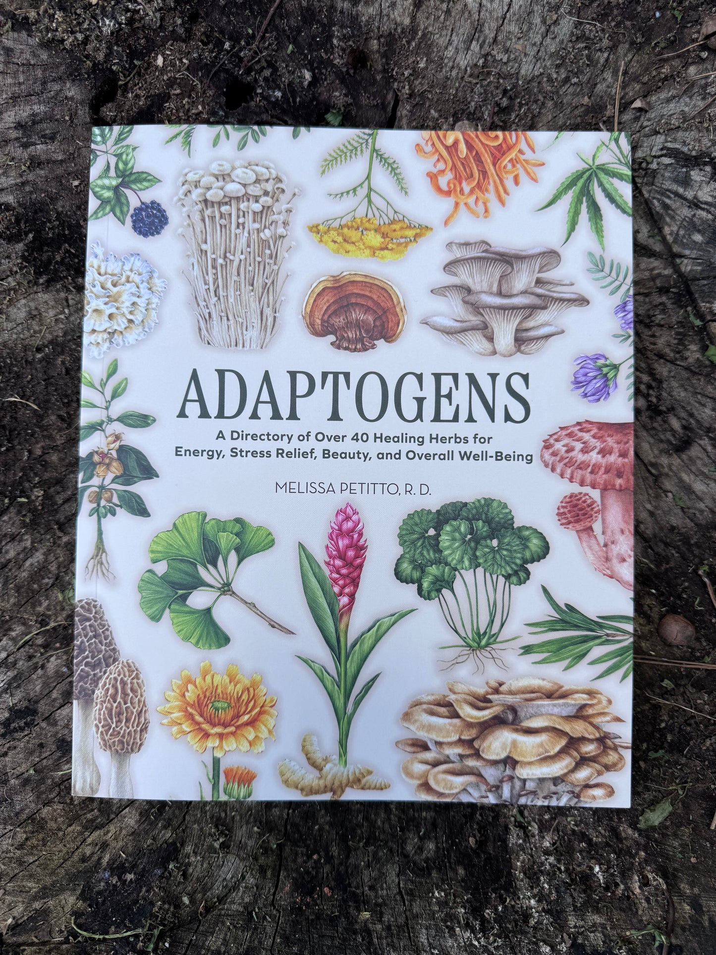 Adaptogens: A Directory of Over 40 Healing Herbs