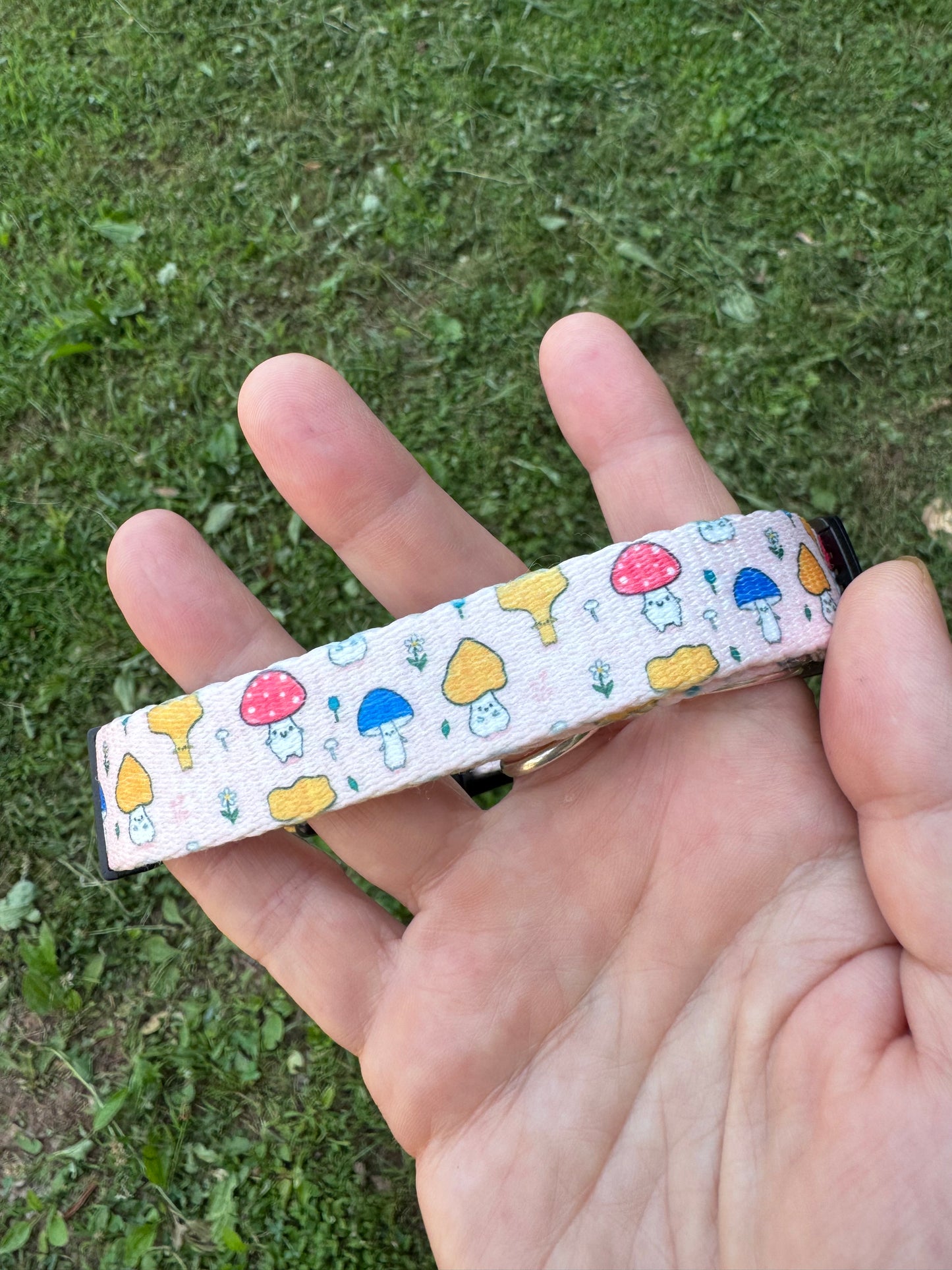 Colorful Mushroom Pet Collar