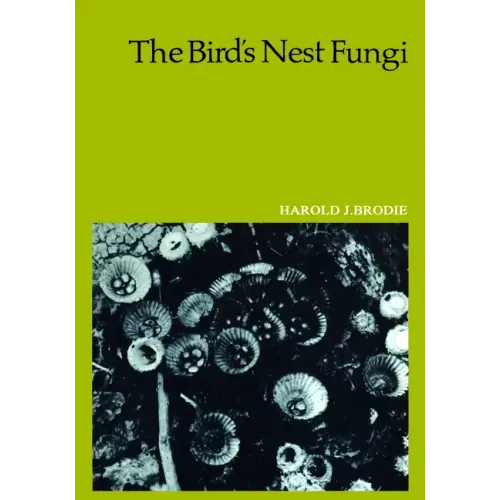 The Bird's Nest Fungi