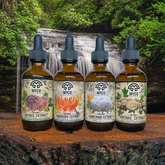 Fungi Force  - Energy Gift Set