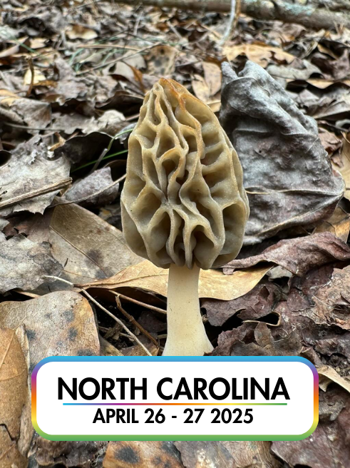 Wild Mushroom Food Safety Certification  - NORTH CAROLINA - APRIL 26-27, 2025