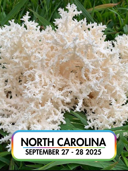 Wild Mushroom Food Safety Certification  - NORTH CAROLINA - SEPT 27-28, 2025